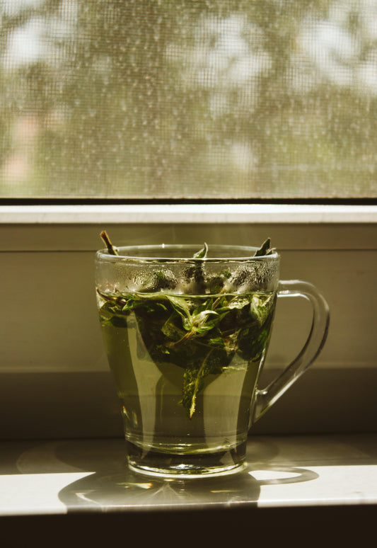 THE BENEFITS OF GREEN TEA FOR HAIR GROWTH AND SHED HAIR