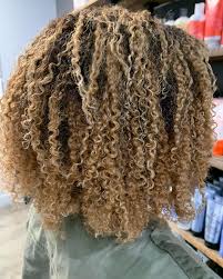 Picture of curly hair texture on natural hair with brown long highlights