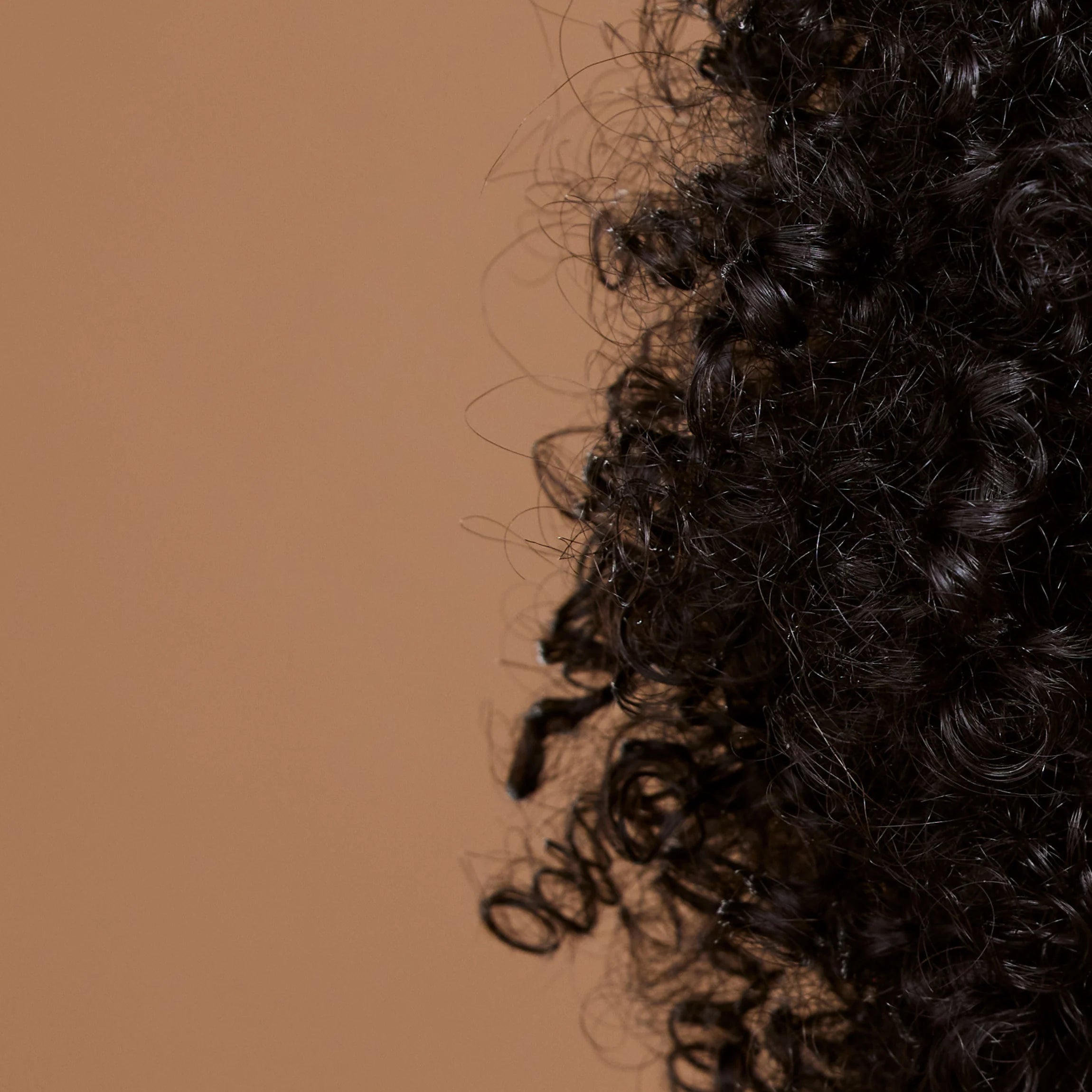 Close-up of curly hair on a brown background