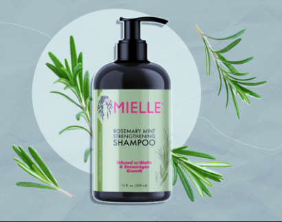 Total Repair Transformation Bundle